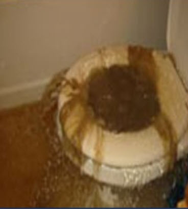 Toilet Overflow Water Damage Home Claims Course – COMING SOON